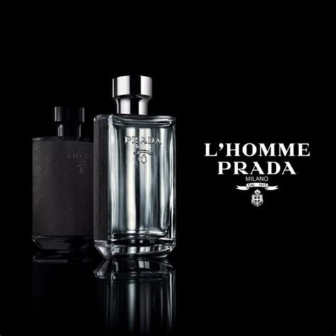 prada l homme india|Mehr.